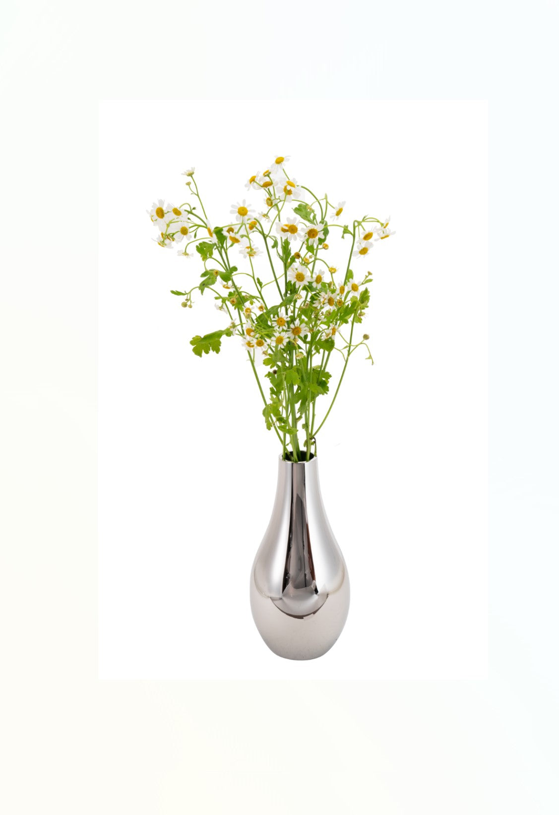 Light Bulb Vase