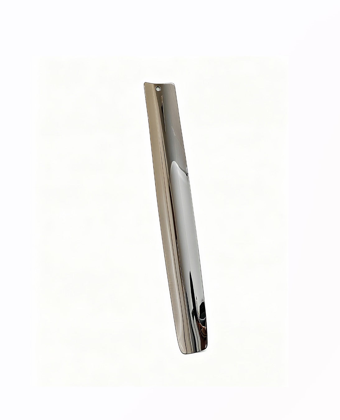 Stainless Steel Shoehorn